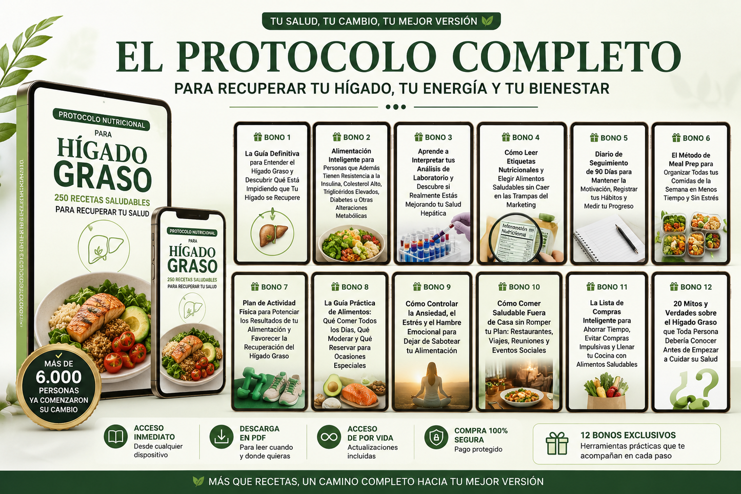 El Protocolo Definitivo para el Hígado Graso